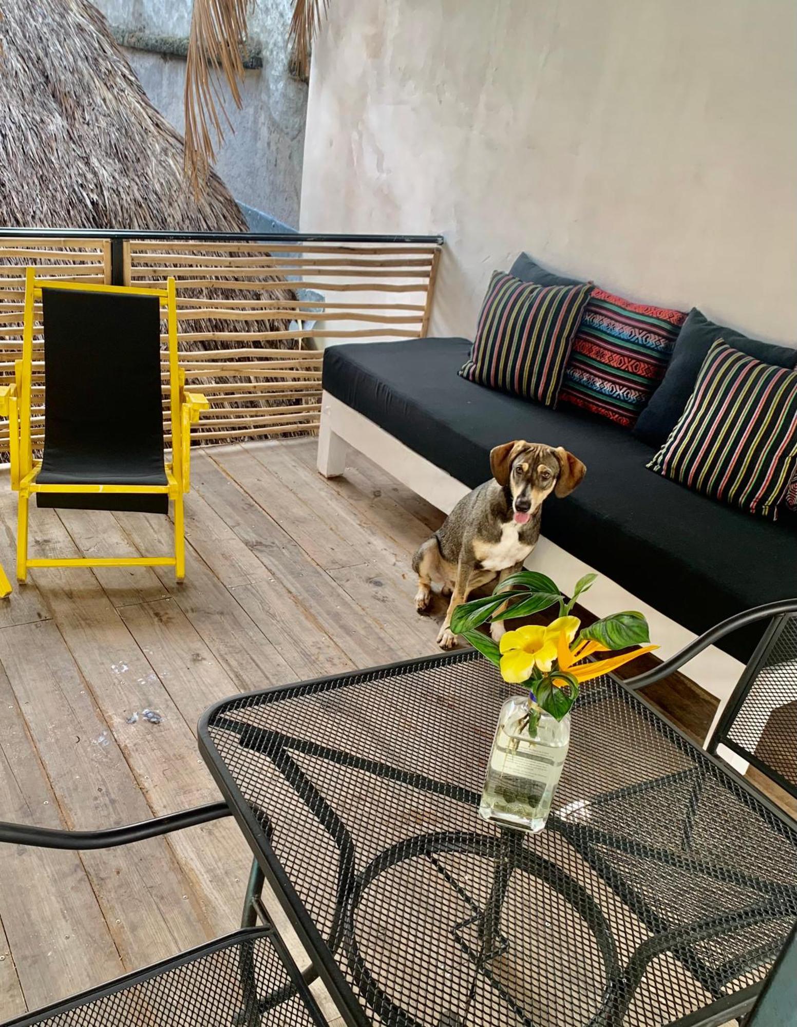 Sayulita Surf Bungalows 외부 사진